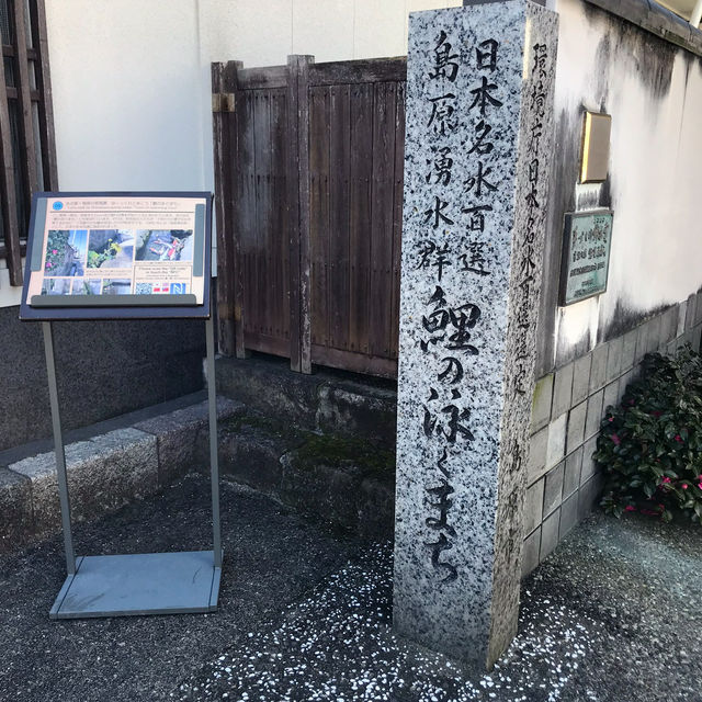 【長崎　島原おでかけ記録】