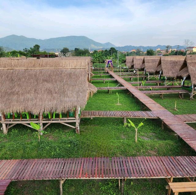 Black pearl garden ⛰️🏔