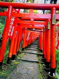 【神奈川県/鎌倉　白狐の置物がたくさん並ぶ神秘的な場所『佐助稲荷神社』】