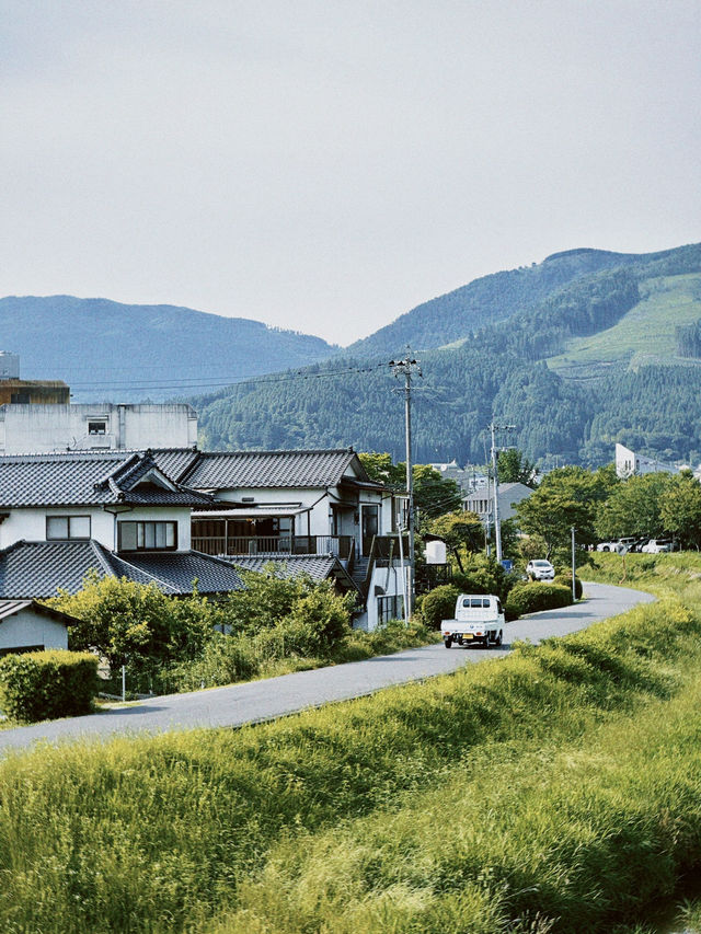🇯🇵由布院小眾玩法｜田野、單車、美術館🖼️