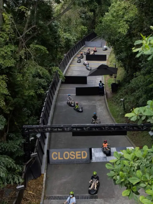 Skyline Luge Singapore: Thrills with a View