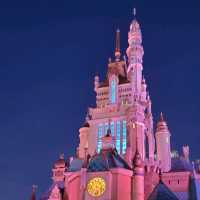 Hong Kong Disneyland a place of smiles