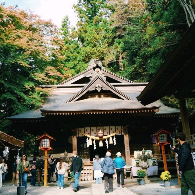 ไปชม เจดีย์แดงชูเรโตะ Chureito Pagoda กันจ้า