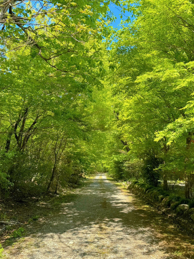【栃木】縁結びの神さまに会いに行こう!!