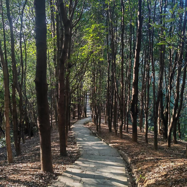 ～福林公園～清新派對～