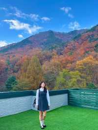 가을 설악산에 내려앉은 빨간 단풍이불 🍂🍁