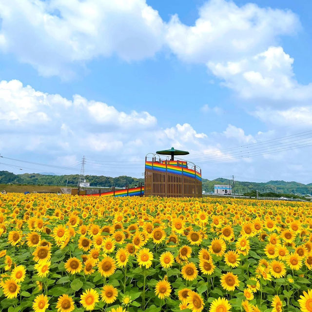 大任花公園，欣賞360度花環