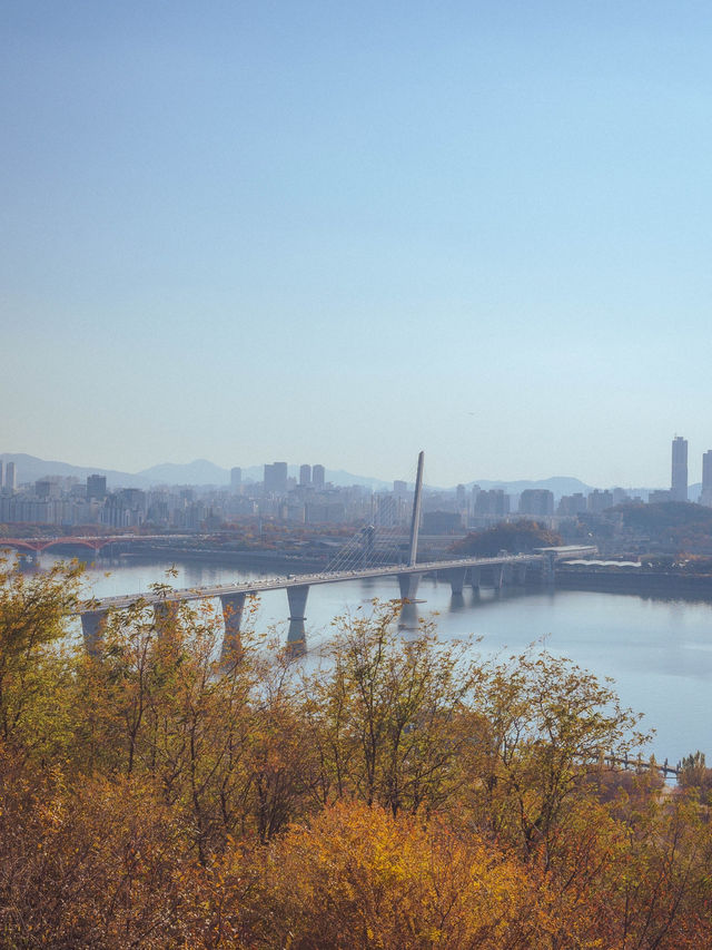 황금빛 억새 물결이 일렁거리는 서울 가을 여행지“하늘공원”