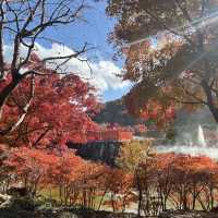 大阪近郊紅葉景點 - 勝尾寺🍁