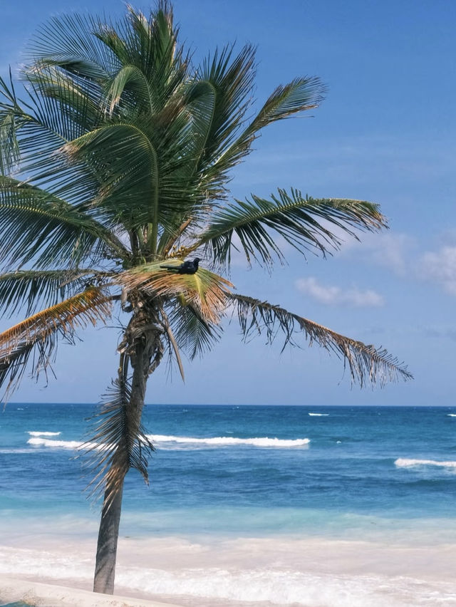 Tulum: Where Ancient Ruins Meet Caribbean Paradise