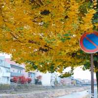 Miyagawa Morning Market