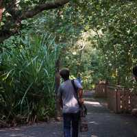 Hidden Gem in Singapore for nature lovers!!