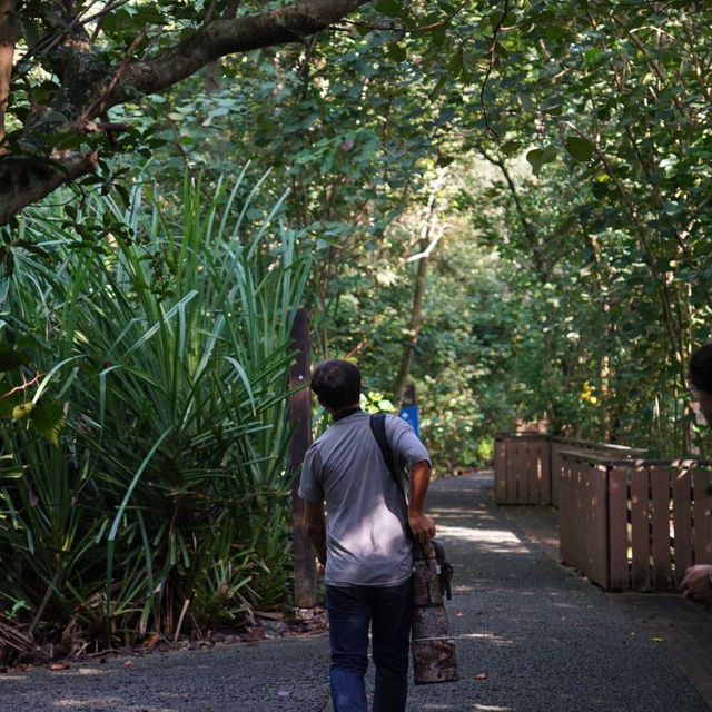 Hidden Gem in Singapore for nature lovers!!