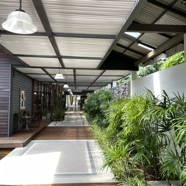 泰國蘇美島 peace resort