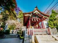 茨城🇯🇵 筑波山神社