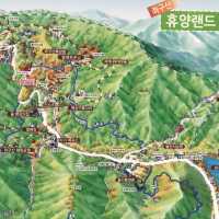 좌구산 휴양림 추천해요~