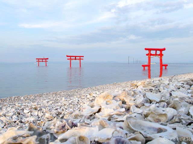 【佐賀県】沖ノ島へつながるパワースポット！「海中鳥居」