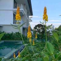 รีวิวKhao Lak Marriott Beach Resort & Spa