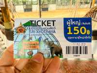 สวนสัตว์ ศรีอยุธยา ไลอ้อนปาร์ค