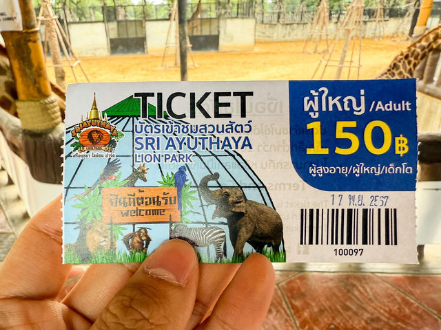 สวนสัตว์ ศรีอยุธยา ไลอ้อนปาร์ค