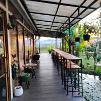 นาไลย วิว คาเฟ่&โฮมสเตย์ ที่พัก&คาเฟ่ วิวทุ่งนา
