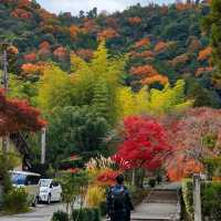 Arashiyama ⛰️🎍🍁