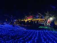 งานประดับไฟ Christmas 🎄 