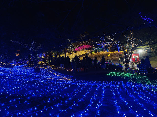 งานประดับไฟ Christmas 🎄 