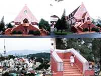 9 จุดเช็คอินห้ามพลาด ดาลัดเมืองแห่งดอกไม้และภูเขา