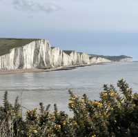 If you’ve got bored with London, pay this suburb a visit!