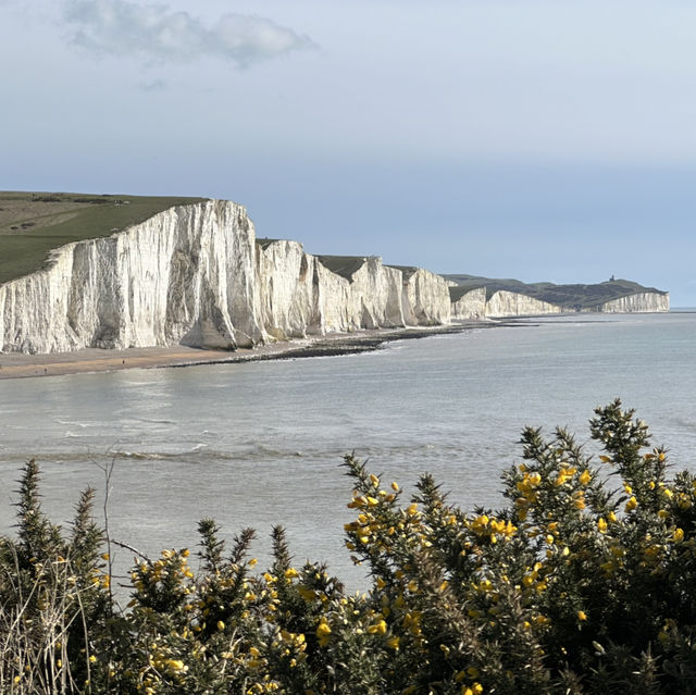 If you’ve got bored with London, pay this suburb a visit!