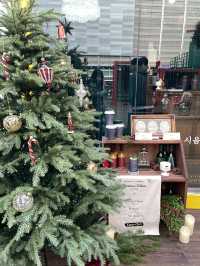🎄롯데타워 2024 크리스마스 마켓🎄