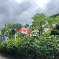 A peaceful jungle village hotel next to Loboc river 