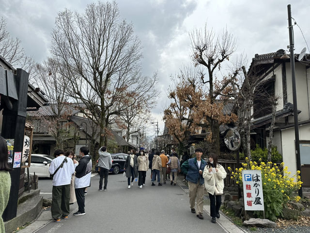 由布院是感受寧靜和傳統日本的首選🥹🌸