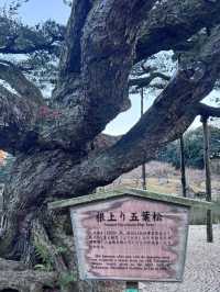 四國必訪☺️粟林公園🥰日本名園之一