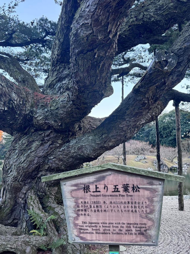 四國必訪☺️粟林公園🥰日本名園之一