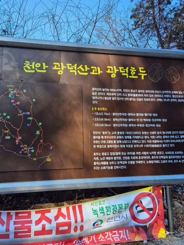 🌲 신년맞이 초보자도 즐길수 있는 겨울여행 광덕산 🌲