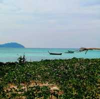 泰國麗貝島外島海洋公園景點:Koh Adang, Tarutao National Park，適合露營🏕️拍照📸打卡