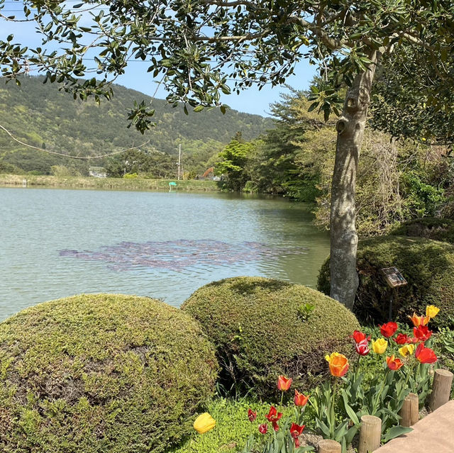 힐링이 필요할 땐 통영 ‘산유골 수목공원’ 🌳✨