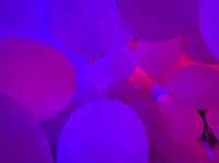 Dive Into a World of Light and Imagination