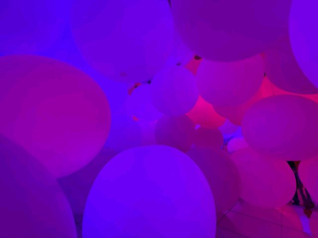 Dive Into a World of Light and Imagination