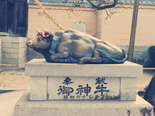 福岡 - 迷失在太宰府的魔法世界 ✨