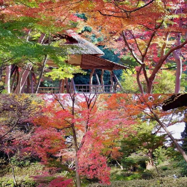 東京景點