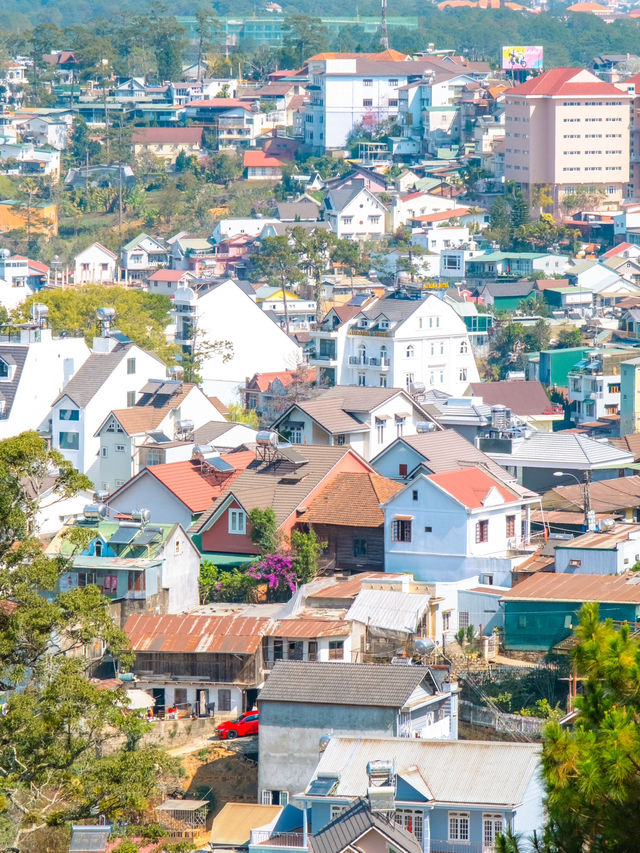 베트남의 작은 파리 달랏의 다채로운 매력🏡🤍