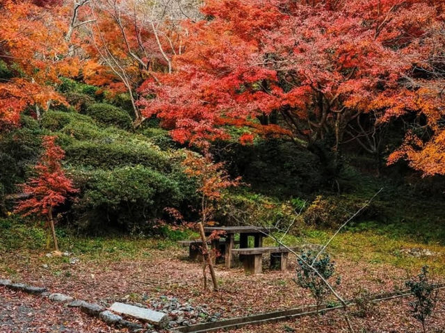 神聖與寧靜的福岡宮地嶽神社