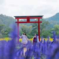 ฮอกไกโด Flower Park เขาใหญ่