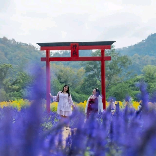 ฮอกไกโด Flower Park เขาใหญ่