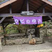 ☾︎長崎☽︎ 触れ合いメインの動物園