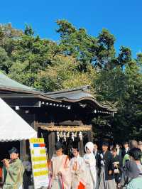 ไหว้พระ ขอพร ที่ศาลเจ้า | คามาคุระ ⛩️🏮