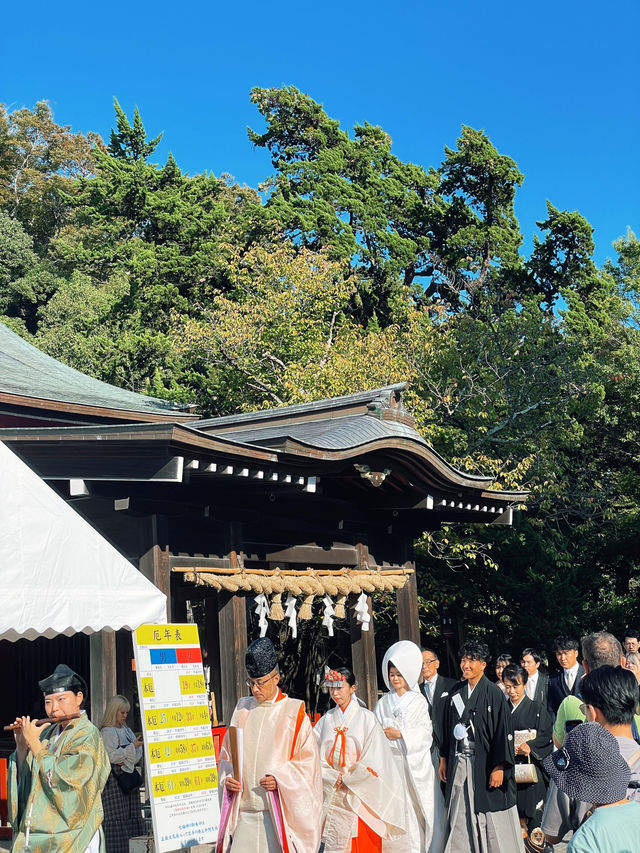 ไหว้พระ ขอพร ที่ศาลเจ้า | คามาคุระ ⛩️🏮